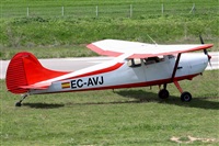 Josep Oll. Click to see full size photo