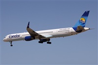 ©Alfonso Solís - Asociación Canary Islands Spotting. Click to see full size photo ©Alfonso Solís - Asociación Canary Islands Spotting. Click to see full size photo