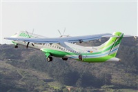 Nacho Rodriguez - Canary Islands Spotting. Click to see full size photo
