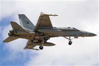 Adolfo Bento - Gran Canaria Spotters. Click to see full size photo