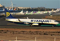 ©Alejandro H.L - Gran Canaria Spotters. Click to see full size photo ©Alejandro H.L - Gran Canaria Spotters. Click to see full size photo
