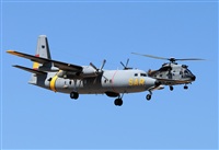 ©Alejandro H.L - Gran Canaria Spotters. Click to see full size photo ©Alejandro H.L - Gran Canaria Spotters. Click to see full size photo
