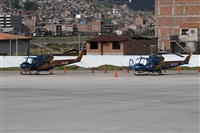 Fco. Javier Snchez. Haz click para ampliar