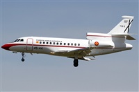 Rubn Gil - Noisy Spotters. Click to see full size photo