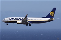 ©Alfonso Solís - Asociación Canary Islands Spotting. Click to see full size photo ©Alfonso Solís - Asociación Canary Islands Spotting. Click to see full size photo