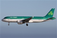 Alfonso Sols - Asociacin Canary Islands Spotting. Click to see full size photo