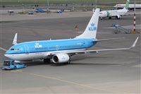 Alfonso Sols - Asociacin Canary Islands Spotting. Click to see full size photo