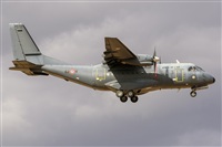 Adolfo Bento - Gran Canaria Spotters. Click to see full size photo
