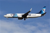 H.volar. Click to see full size photo