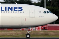 Rodrigo Carvalho - Noisy Spotters. Click to see full size photo