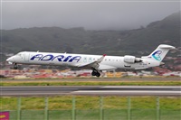 Miguel A. gueda Rguez.  (CANARY ISLANDS SPOTTING). Click to see full size photo