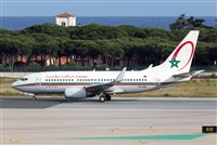 Miguel Alia - Noisy Spotters. Click to see full size photo
