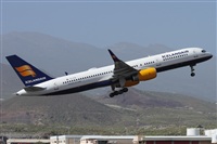 ©Alfonso Solís - Asociación Canary Islands Spotting. Click to see full size photo ©Alfonso Solís - Asociación Canary Islands Spotting. Click to see full size photo