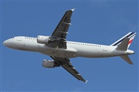 ©Alfonso Solís - Asociación Canary Islands Spotting. Click to see full size photo ©Alfonso Solís - Asociación Canary Islands Spotting. Click to see full size photo
