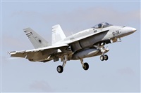 Paco Muoz Arencibia - Gran Canaria Spotters. Click to see full size photo