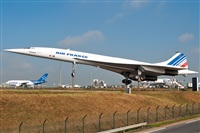 Miguel Martin Cordeiro - Iberian Spotters. Haz click para ampliar