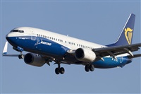 Rubn Gil - Noisy Spotters. Click to see full size photo