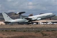 ©Adolfo Bento - Gran Canaria Spotters. Click to see full size photo ©Adolfo Bento - Gran Canaria Spotters. Click to see full size photo