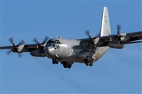 Adolfo Bento - Gran Canaria Spotters. Click to see full size photo