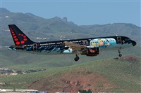 ©Adolfo Bento - Gran Canaria Spotters. Click to see full size photo ©Adolfo Bento - Gran Canaria Spotters. Click to see full size photo