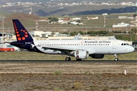 Alfonso Sols - Asociacin Canary Islands Spotting. Click to see full size photo