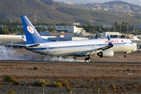 Miguel A. gueda Rguez.  (CANARY ISLANDS SPOTTING). Click to see full size photo