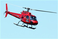 La Roche Spotters. Click to see full size photo