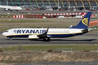 Alfonso Sols - Asociacin Canary Islands Spotting. Haz click para ampliar