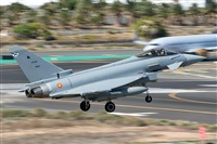 Bartolom Fernndez - Gran Canaria Spotters. Click to see full size photo