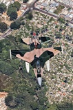 Ivn D. Pea Nesbit - FLARE Aviation Photography. Click to see full size photo