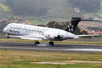 ©Nacho Rodriguez - Canary Islands Spotting. Click to see full size photo ©Nacho Rodriguez - Canary Islands Spotting. Click to see full size photo