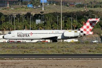 Alfonso Sols - Asociacin Canary Islands Spotting. Click to see full size photo