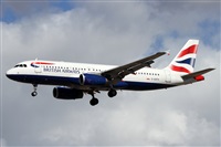 Alfonso Sols - Asociacin Canary Islands Spotting. Click to see full size photo