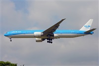 Miguel A. gueda Rguez.  (CANARY ISLANDS SPOTTING). Haz click para ampliar
