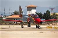 EC-ISM. Click to see full size photo