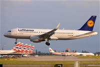 Miguel A. gueda Rguez.  (CANARY ISLANDS SPOTTING). Click to see full size photo