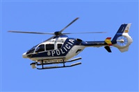 Miguel A. gueda Rguez.  (CANARY ISLANDS SPOTTING). Click to see full size photo