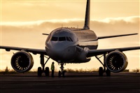 Javier de la Cruz - CANARY ISLANDS SPOTTING. Click to see full size photo