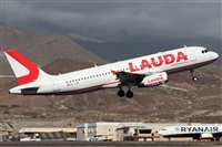 ©Alfonso Solís - Asociación Canary Islands Spotting. Click to see full size photo ©Alfonso Solís - Asociación Canary Islands Spotting. Click to see full size photo