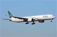 Miguel A. gueda Rguez.  (CANARY ISLANDS SPOTTING). Click to see full size photo