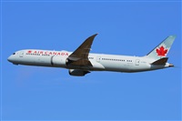 Miguel A. gueda Rguez.  (CANARY ISLANDS SPOTTING). Click to see full size photo