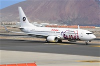 Miguel A. gueda Rguez.  (CANARY ISLANDS SPOTTING). Haz click para ampliar