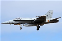 Alfonso Sols - Asociacin Canary Islands Spotting. Haz click para ampliar