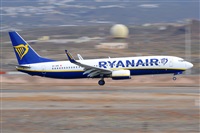 Miguel A. gueda Rguez.  (CANARY ISLANDS SPOTTING). Click to see full size photo