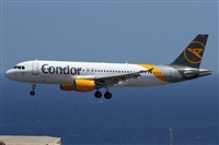 ©Alfonso Solís - Asociación Canary Islands Spotting. Click to see full size photo ©Alfonso Solís - Asociación Canary Islands Spotting. Click to see full size photo