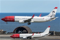 ©Adolfo Bento - Gran Canaria Spotters. Click to see full size photo ©Adolfo Bento - Gran Canaria Spotters. Click to see full size photo