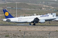 Miguel A. gueda Rguez.  (CANARY ISLANDS SPOTTING). Haz click para ampliar