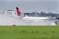 Miguel A. gueda Rguez.  (CANARY ISLANDS SPOTTING). Click to see full size photo