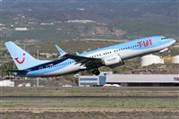 ©Alfonso Solís - Asociación Canary Islands Spotting. Click to see full size photo ©Alfonso Solís - Asociación Canary Islands Spotting. Click to see full size photo
