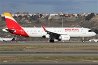 ©Alfonso Solís - Asociación Canary Islands Spotting. Click to see full size photo ©Alfonso Solís - Asociación Canary Islands Spotting. Click to see full size photo